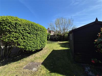 Picture 22